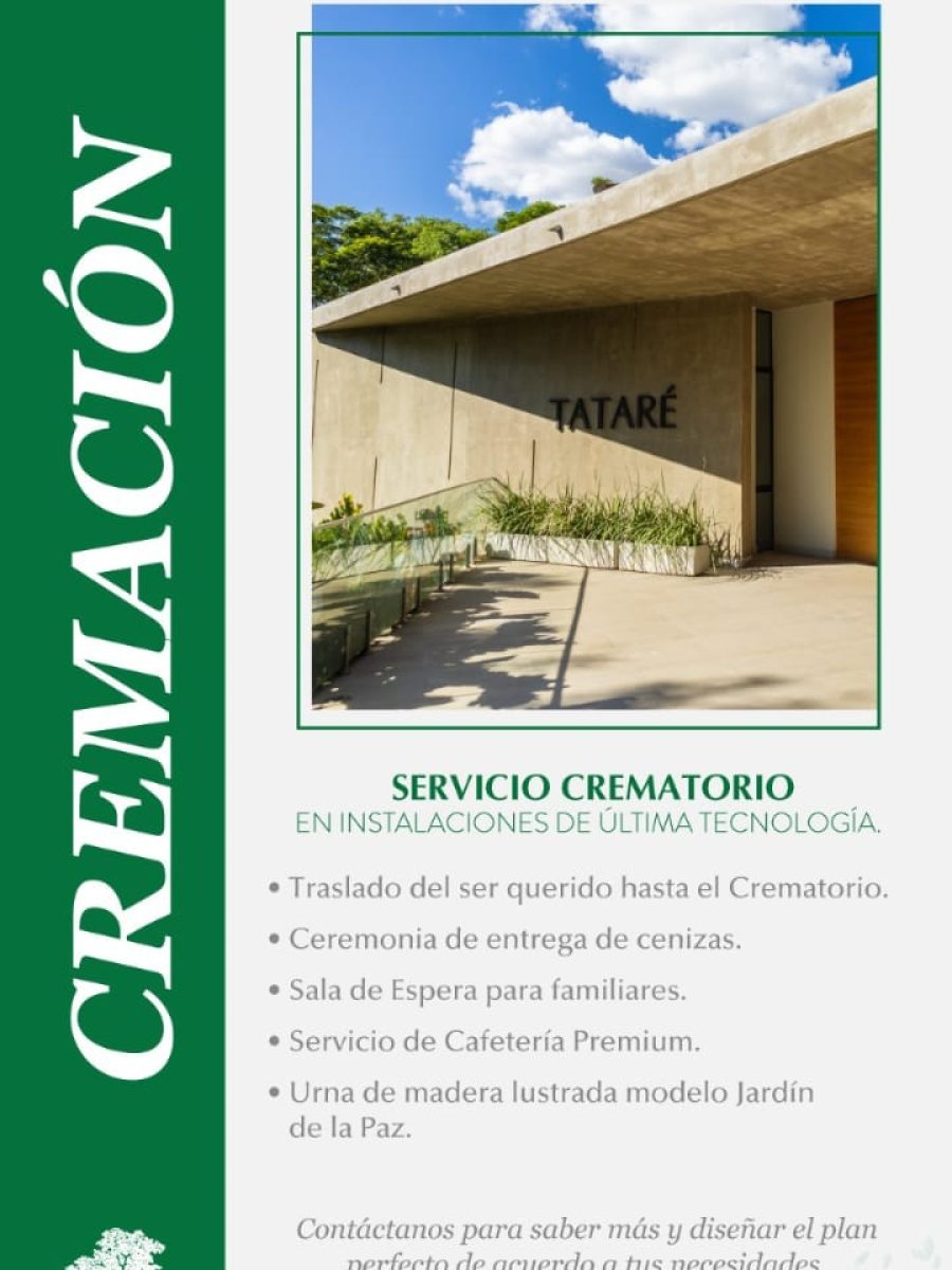 WhatsApp Image 2025-05-24 at 19.35.11